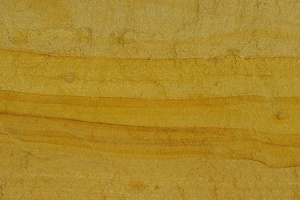  DSC1354