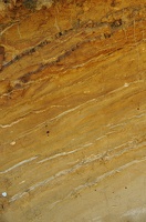  DSC1357