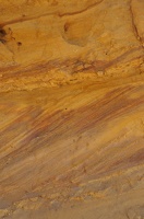  DSC1358