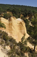  DSC1359