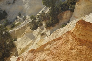  DSC1401
