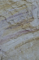  DSC1437