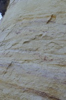  DSC1439