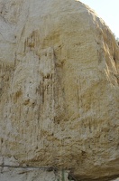  DSC1444