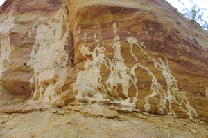  DSC1447