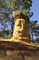 DSC1453
