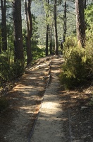  DSC1461