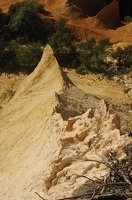  DSC1480