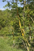  DSC1112