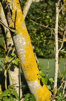  DSC1221