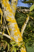  DSC1222