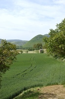  DSC0766