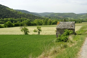  DSC0768