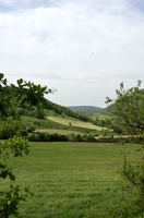  DSC0784