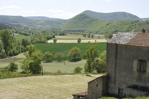  DSC1101