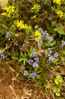  DSC0940