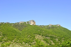  DSC1105
