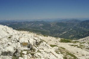  DSC1255