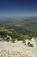  DSC1279