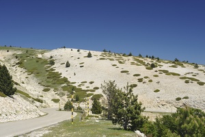  DSC1333