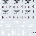 1945 team Bentley 2002