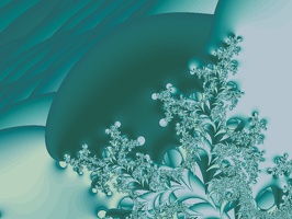 moon flower