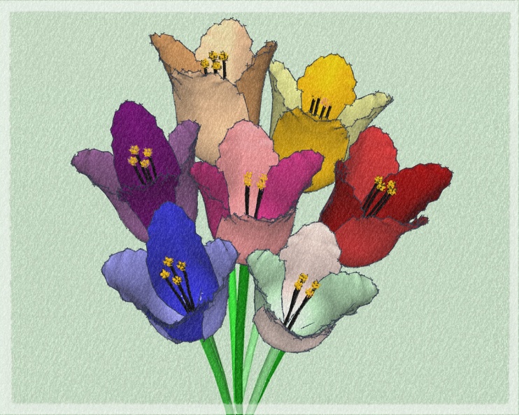 bouquet de tulipe