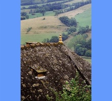 image07