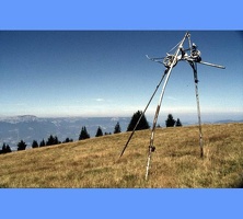 image10